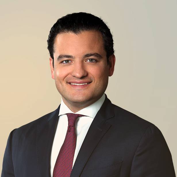 Headshot of Sedat Irdelp