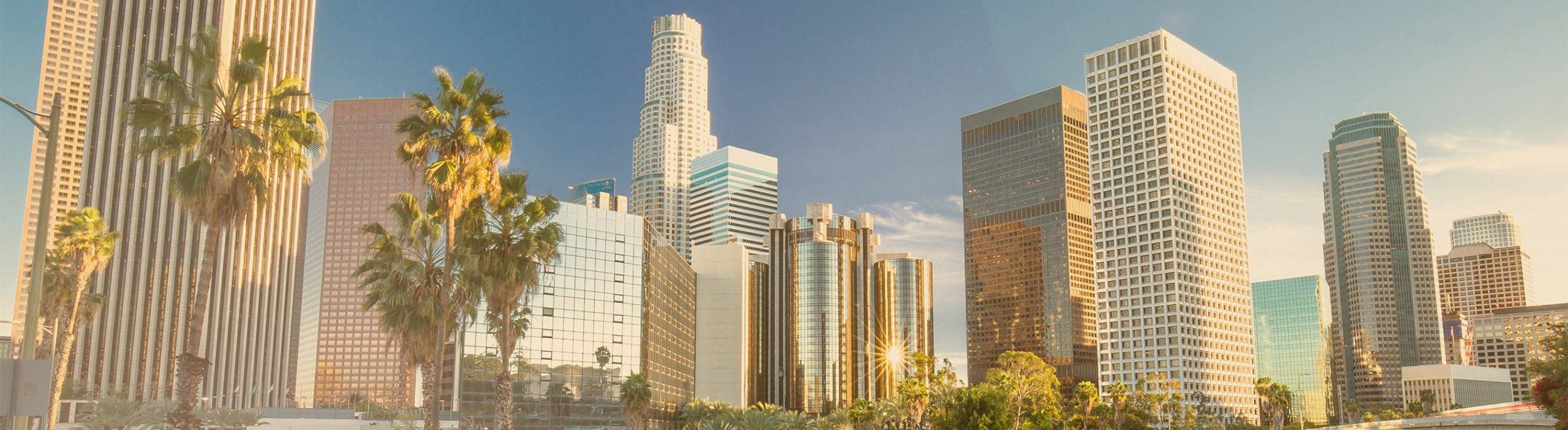 Photo of downtown Los Angeles for Ryan O’Toole and Eric Cartier announcement