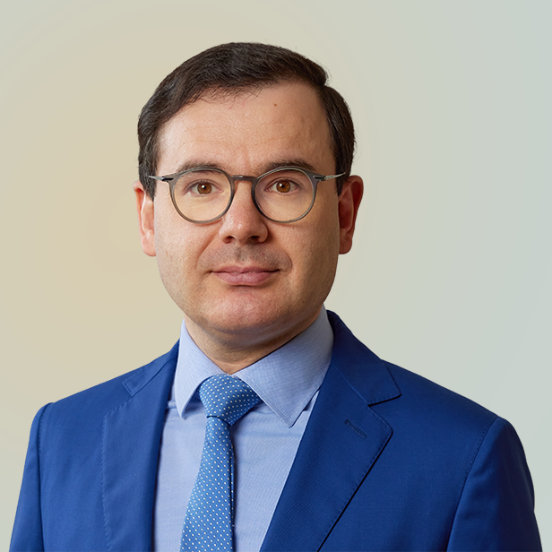 Headshot of Stefano Reghellin