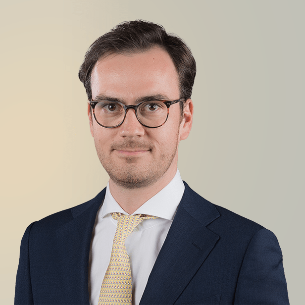 Headshot of Vincent Smulders