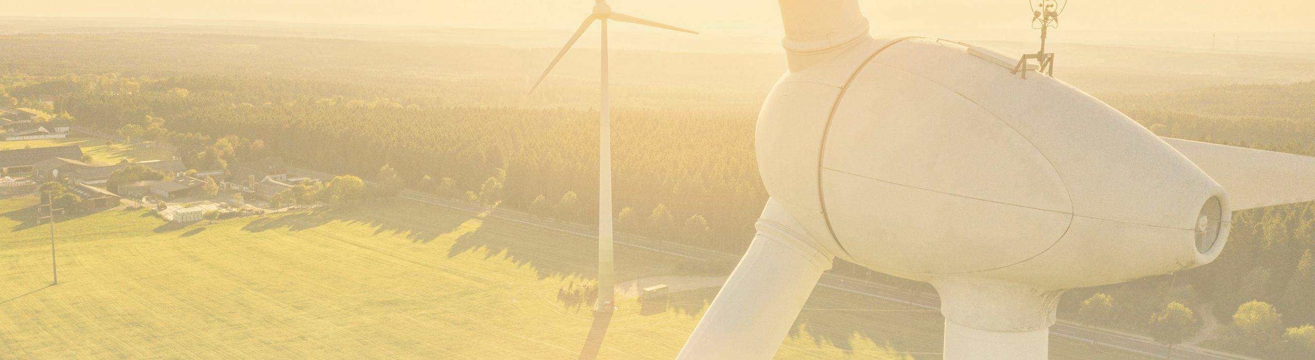 Image displays windmills